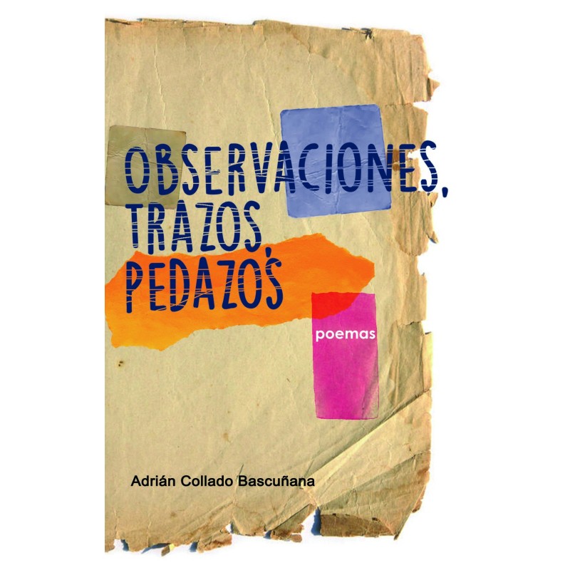 Observaciones, trazos, pedazos