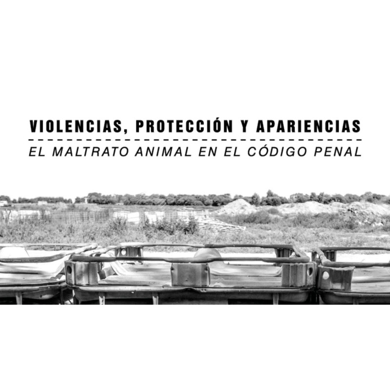 Violencias, protección y apariencias.