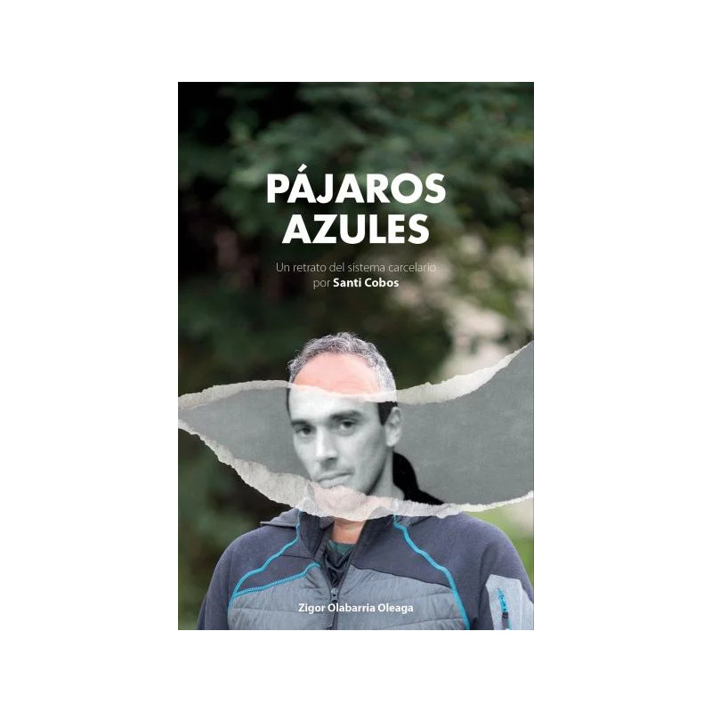 Pájaros azules